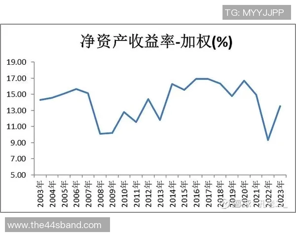 数据分析探讨V5灵活性表现及其对业务决策的影响分析