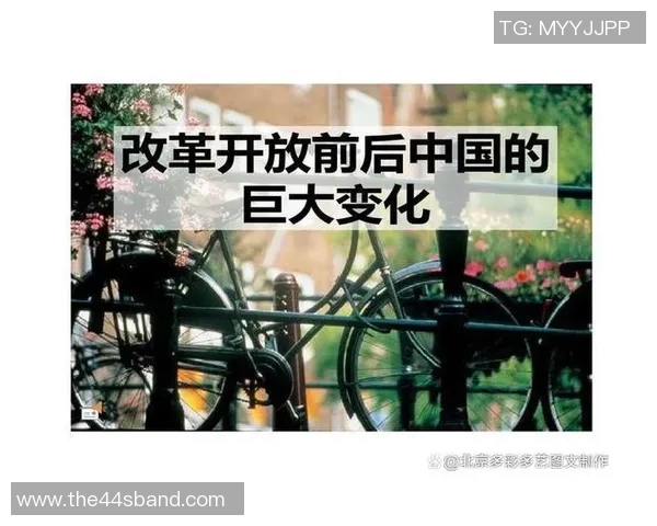 以改革为核心推动社会发展：新时代改革开放的战略布局与实践路径探索