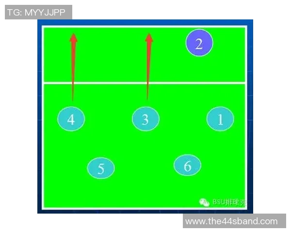 成都排球队整体压制战术解析与实战应用探讨